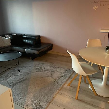 Superbe Appartement Avec Place De Parking Gratuit Strasbourg Eksteriør billede