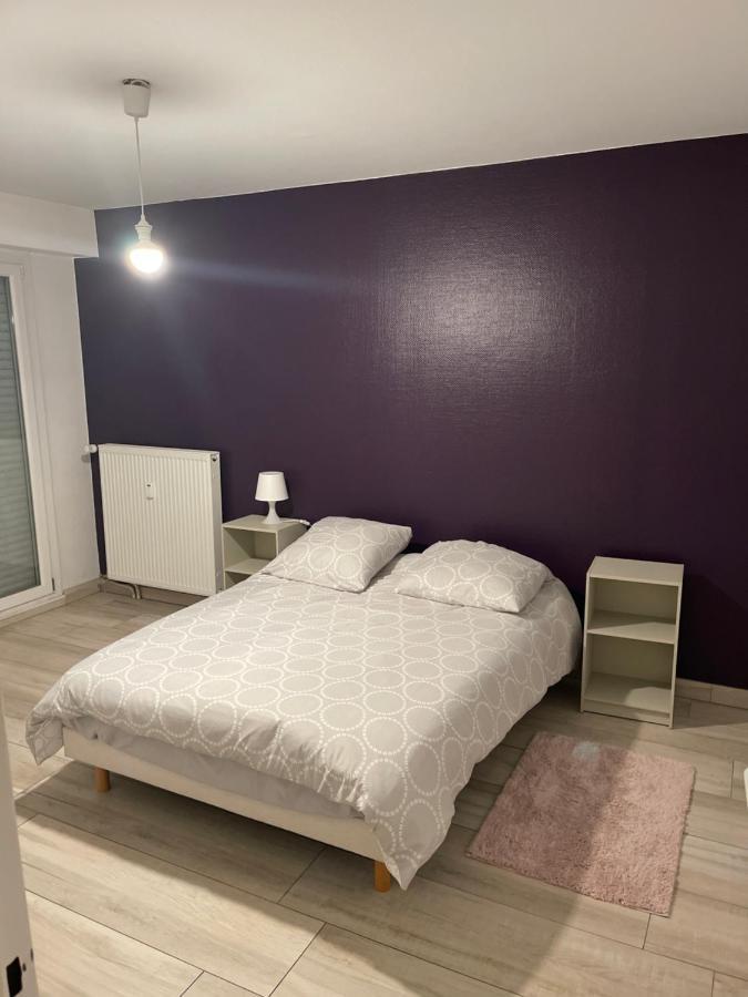 Superbe Appartement Avec Place De Parking Gratuit Strasbourg Eksteriør billede